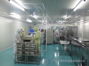 潔凈車間工程與食品生產環境設計——從QS認證到百級萬塵車間的專業化路徑